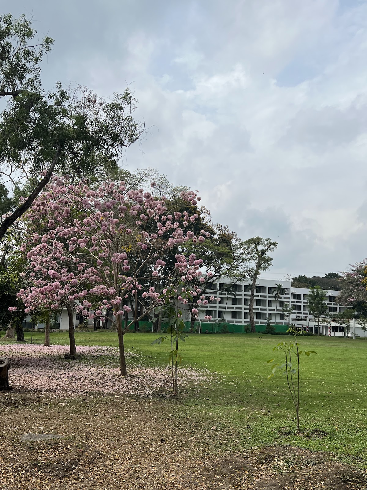 Asian Institute of Technology photo 9