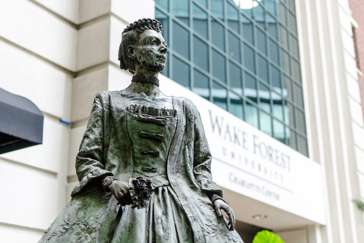 College of 2850 photo 3