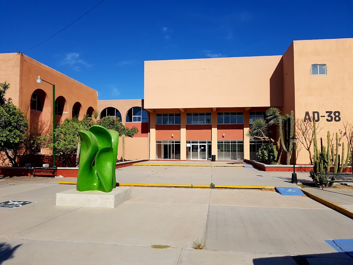 Autonomous University of Baja California Sur photo 3