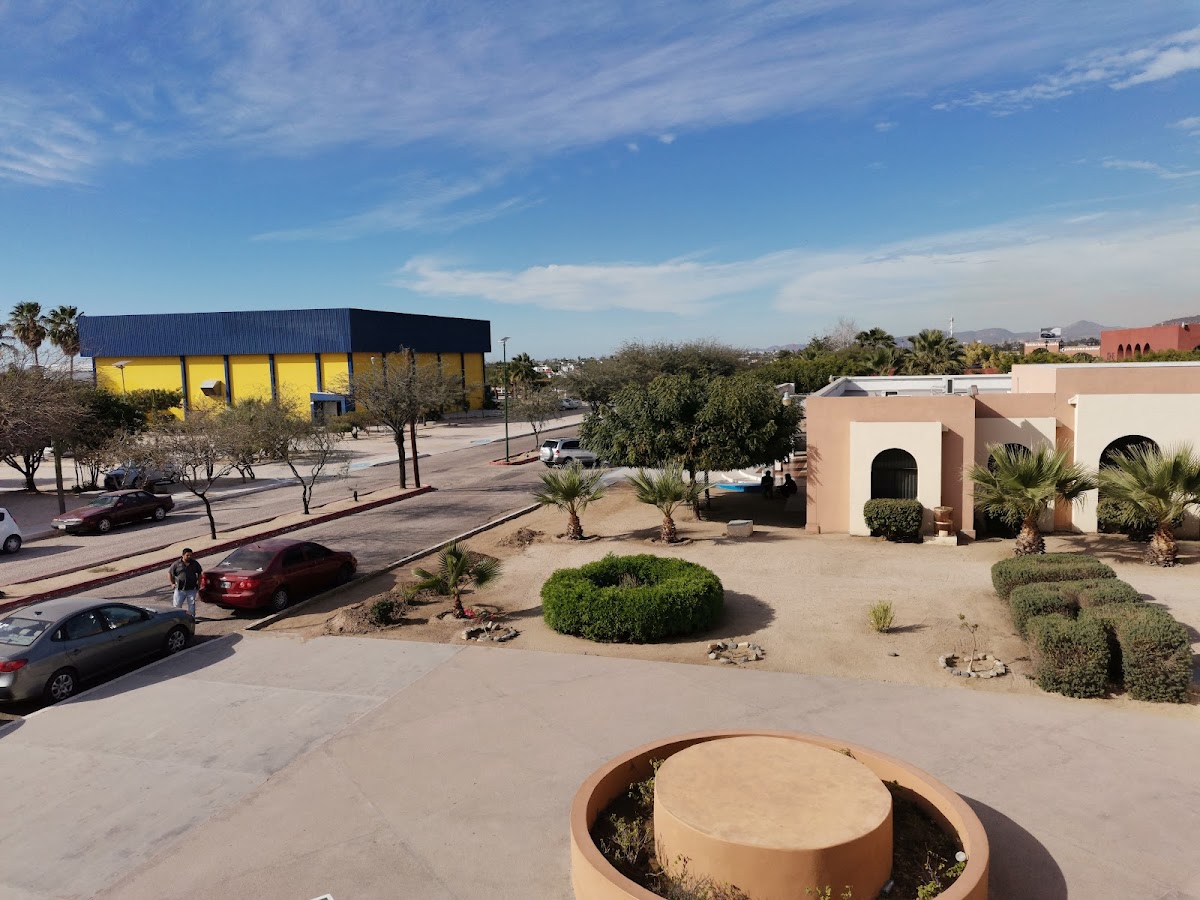 Autonomous University of Baja California Sur photo 7