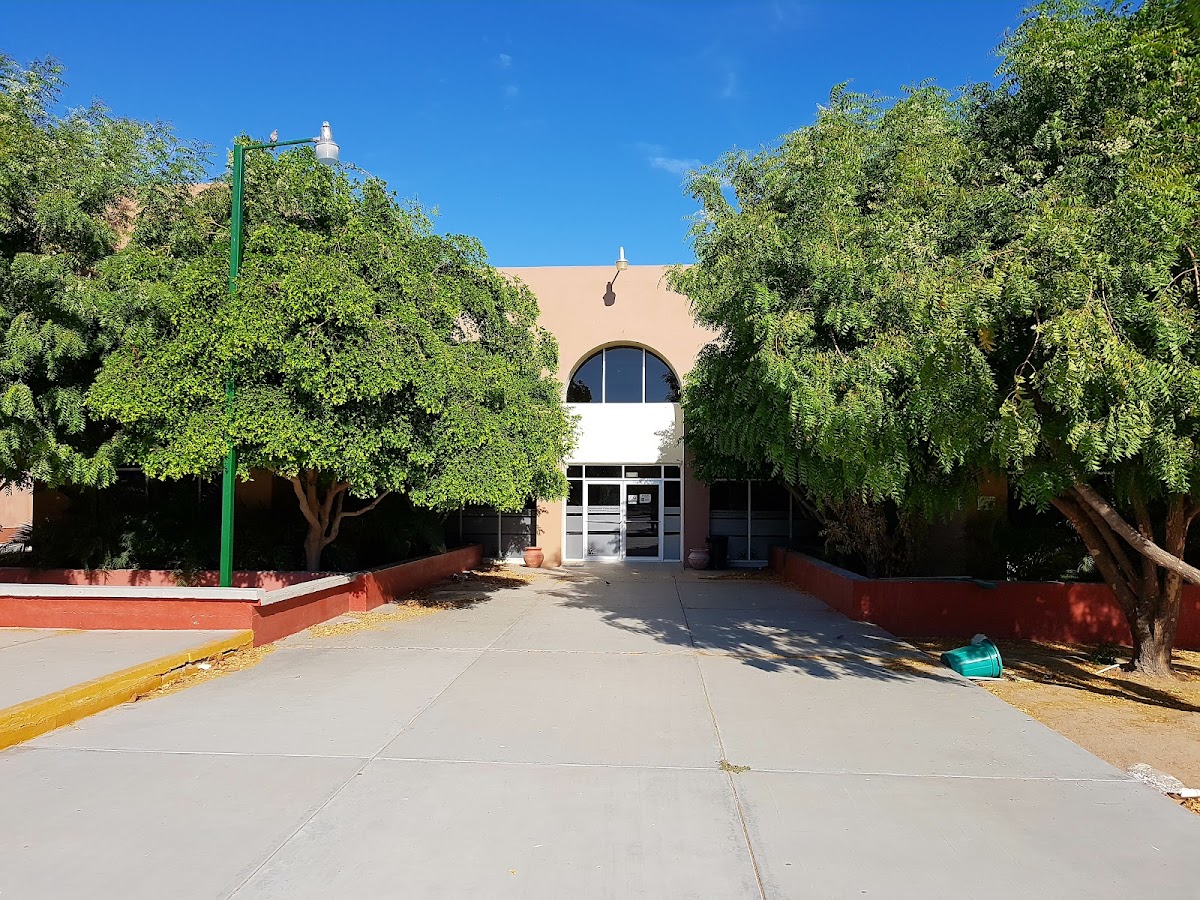 Autonomous University of Baja California Sur photo 9