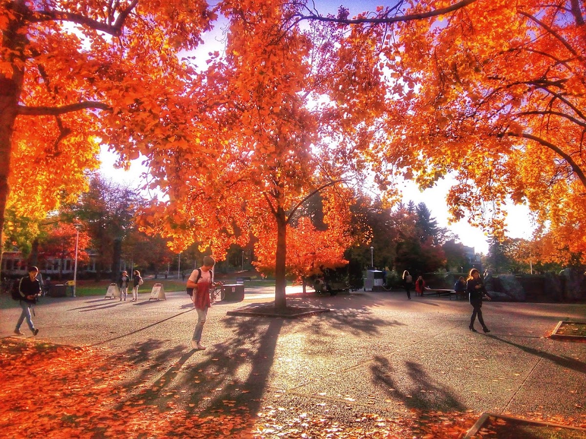 University of Victoria photo 4