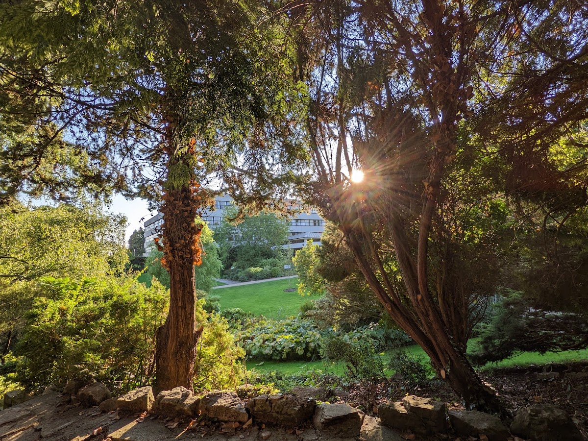 University of Southampton photo 4