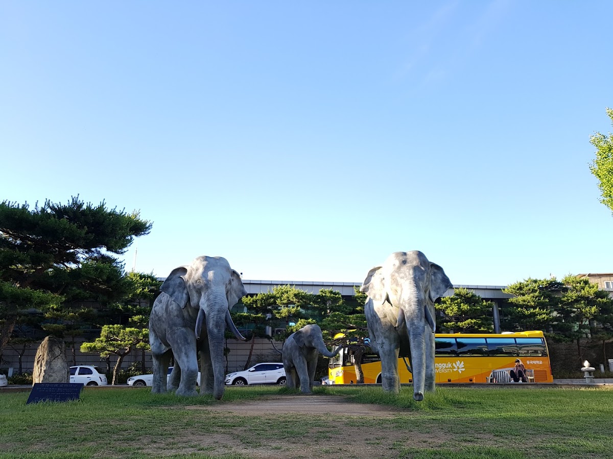 Dongguk University photo 4