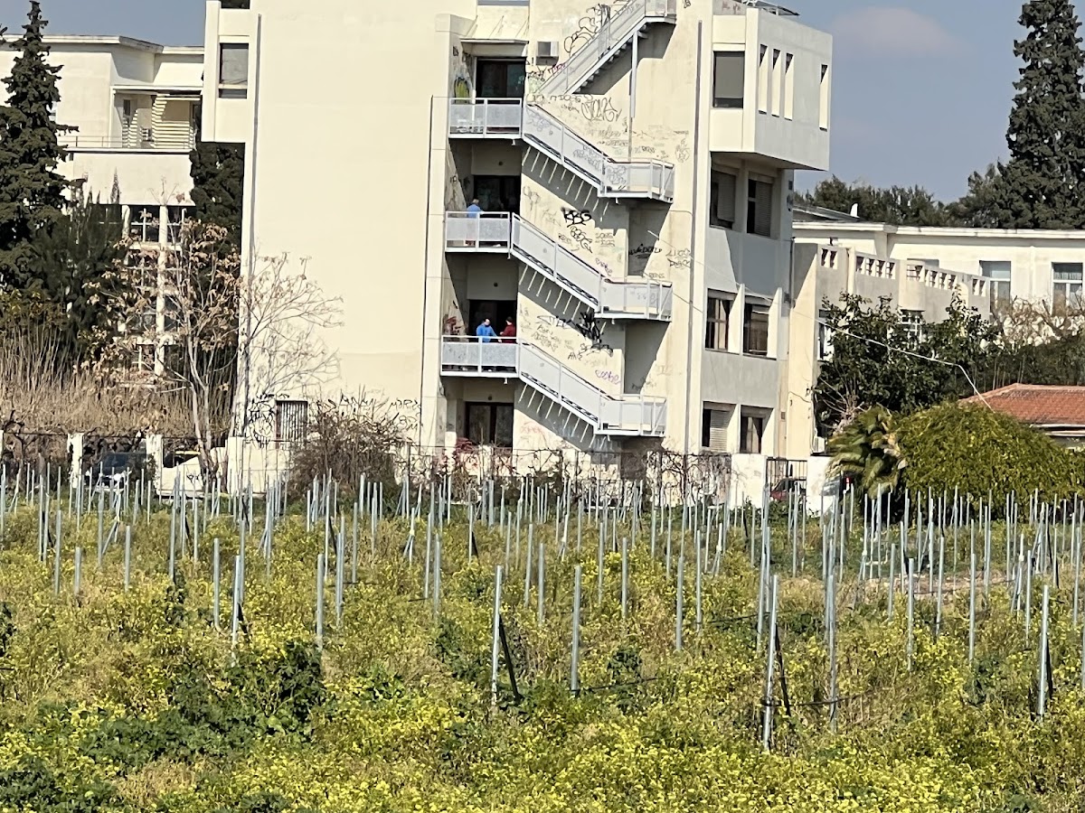 Agricultural University of Athens (Athens) photo 4