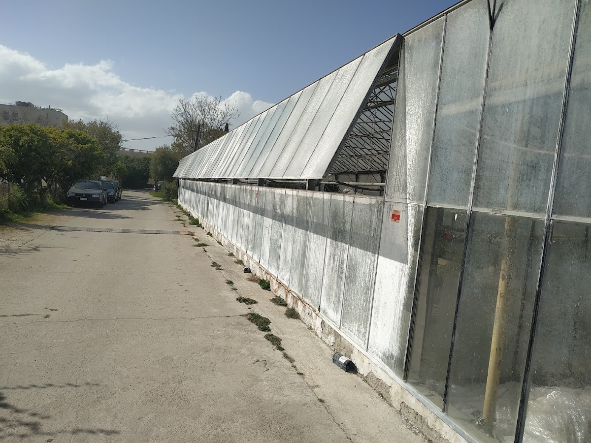 Agricultural University of Athens (Athens) photo 5