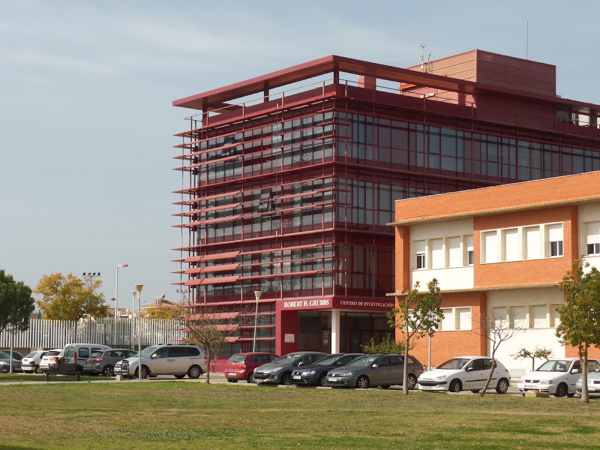 University of Huelva photo 3