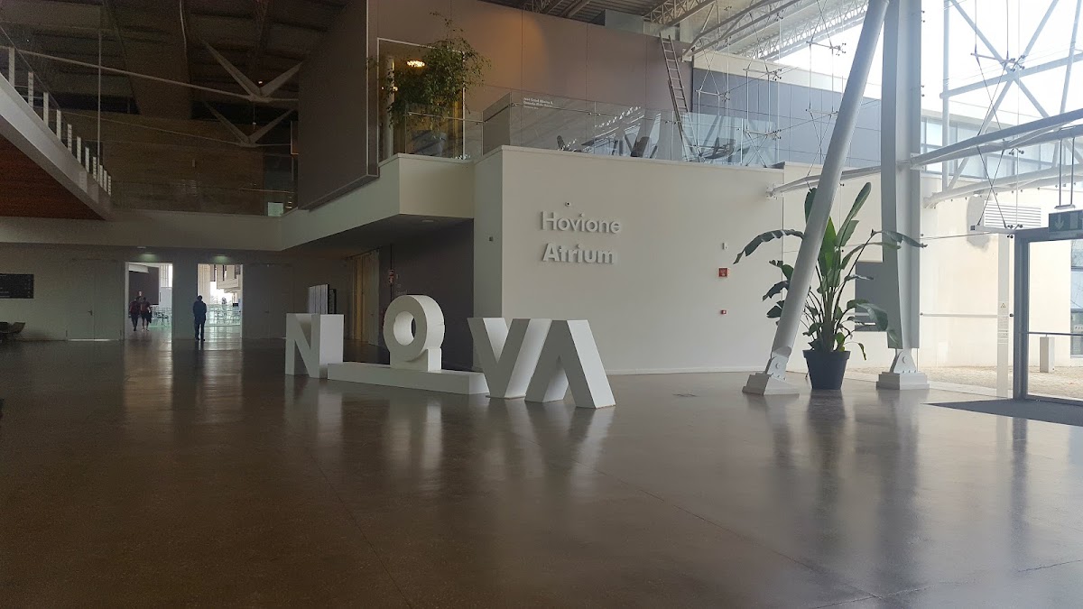 Nova School of Business and Economics photo 1