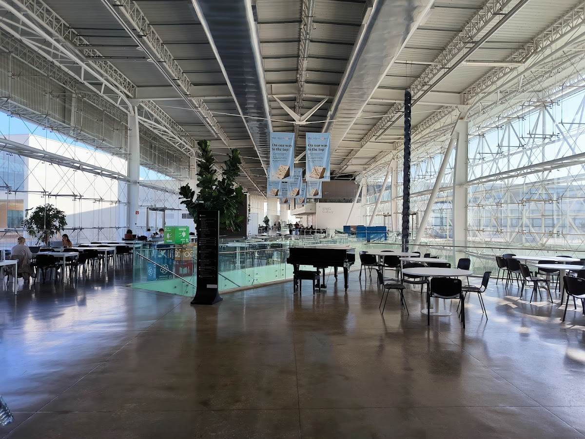 Nova School of Business and Economics photo 9