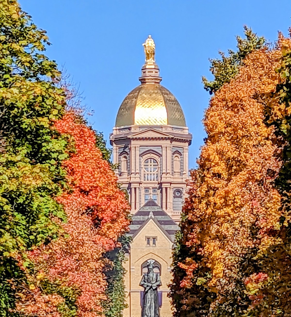 Notre Dame photo 4