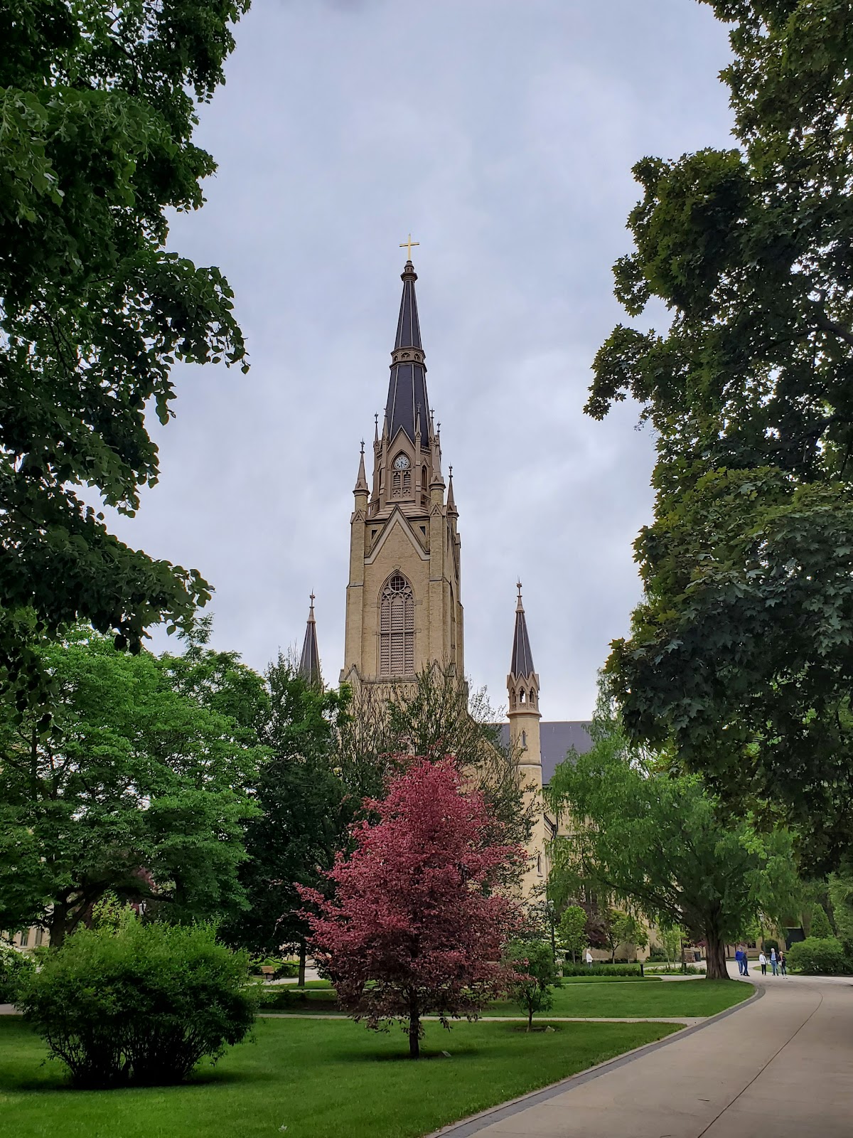 Notre Dame photo 8