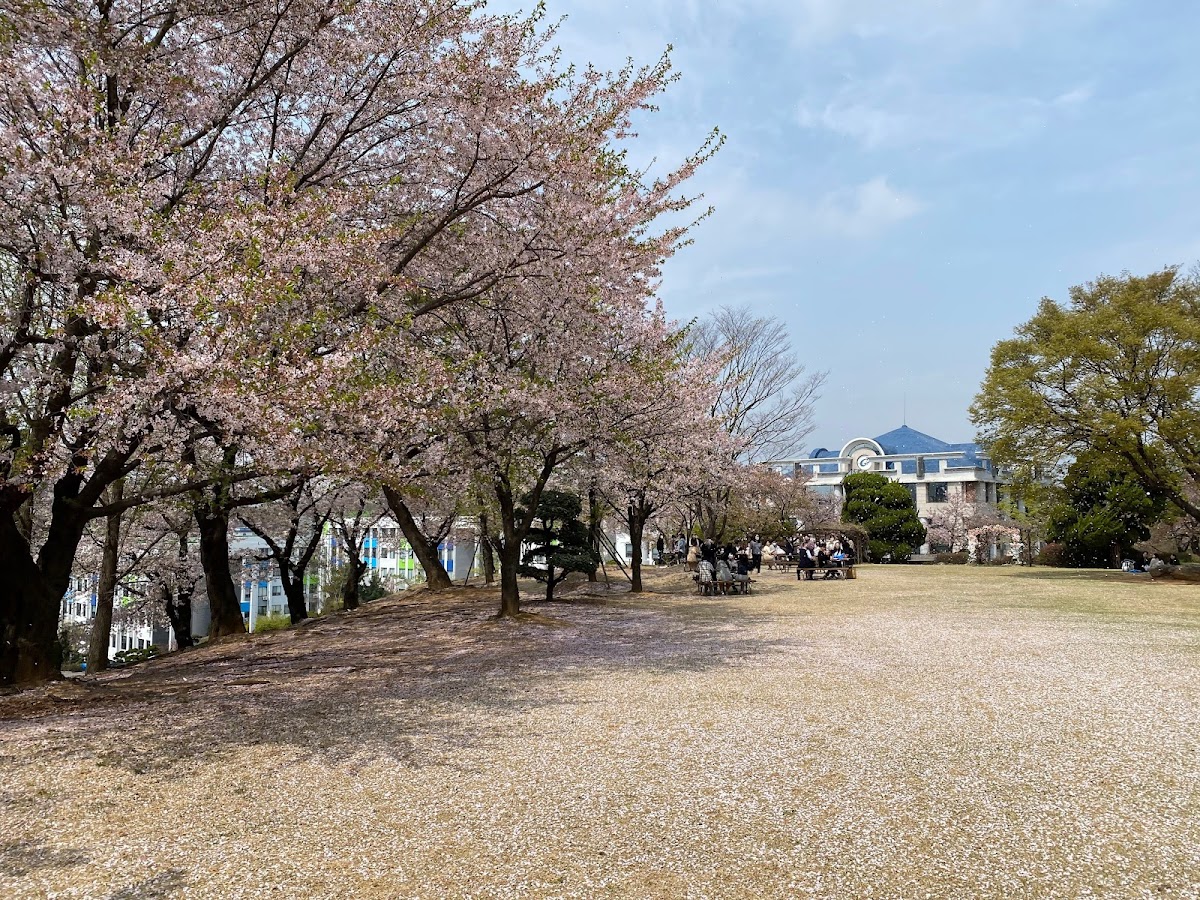 Gachon University photo 2