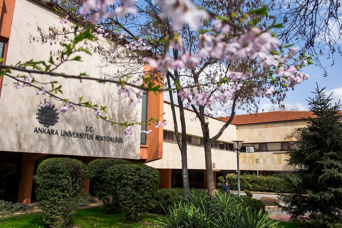 Ankara University photo 4