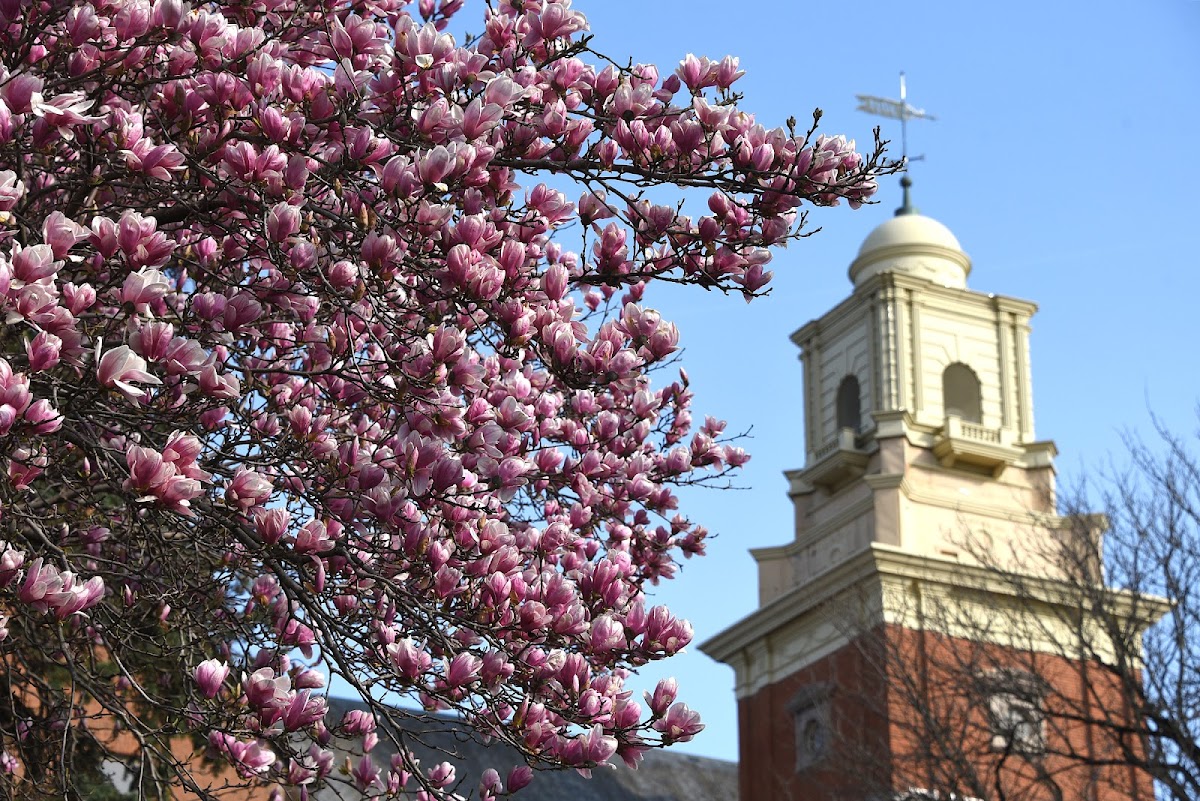 Shippensburg University of Pennsylvania photo 6