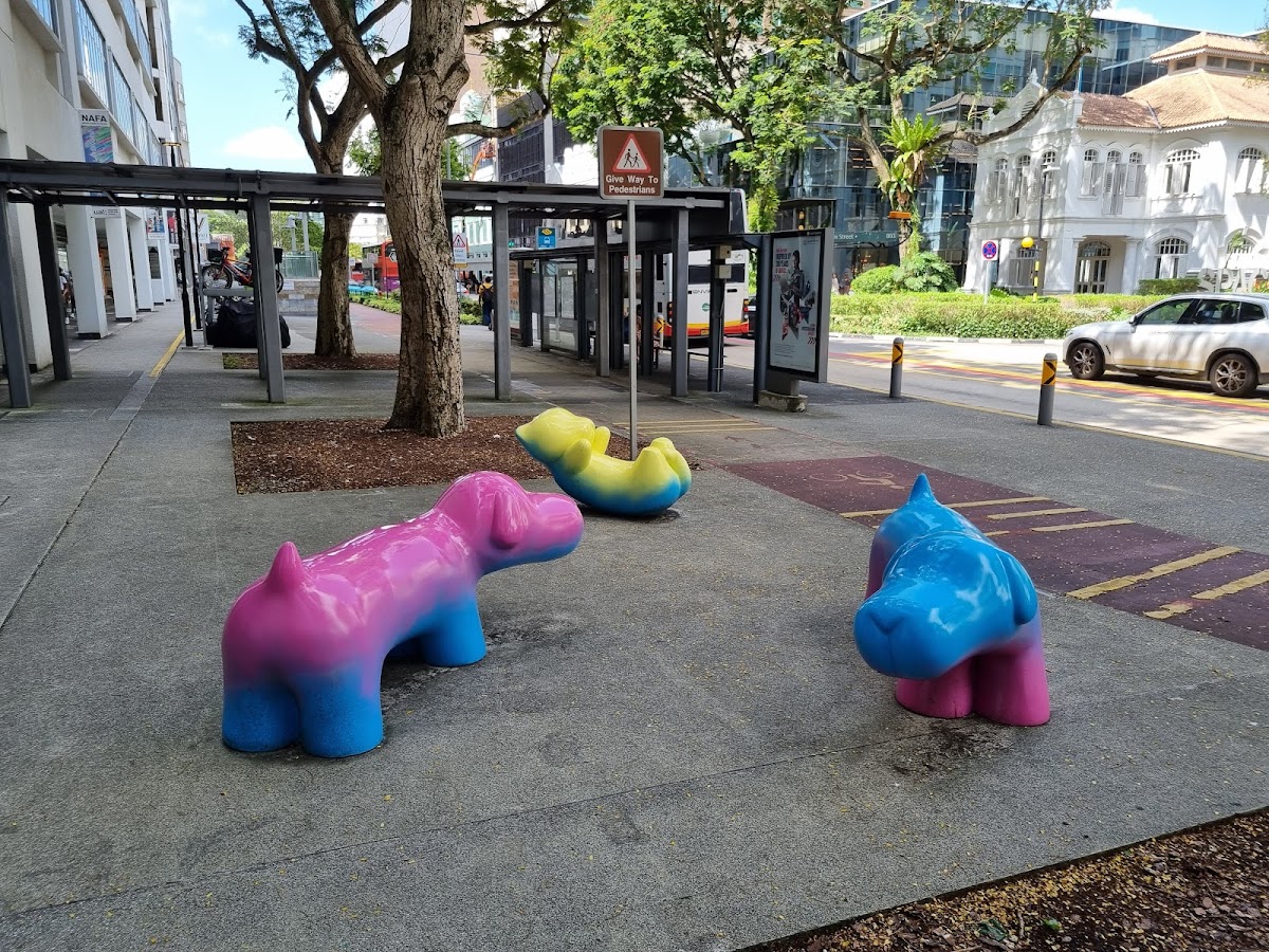 Nanyang Academy of Fine Arts (NAFA) photo 1