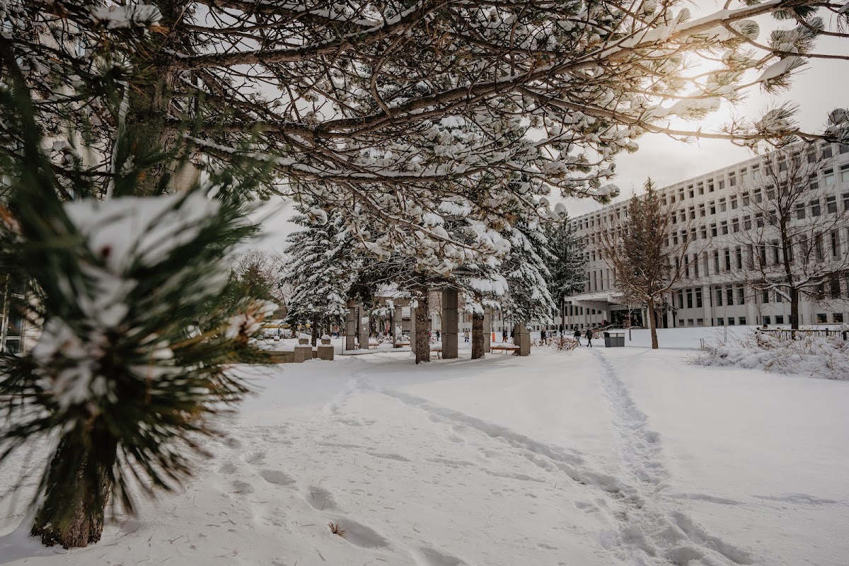 Université Laval photo 2