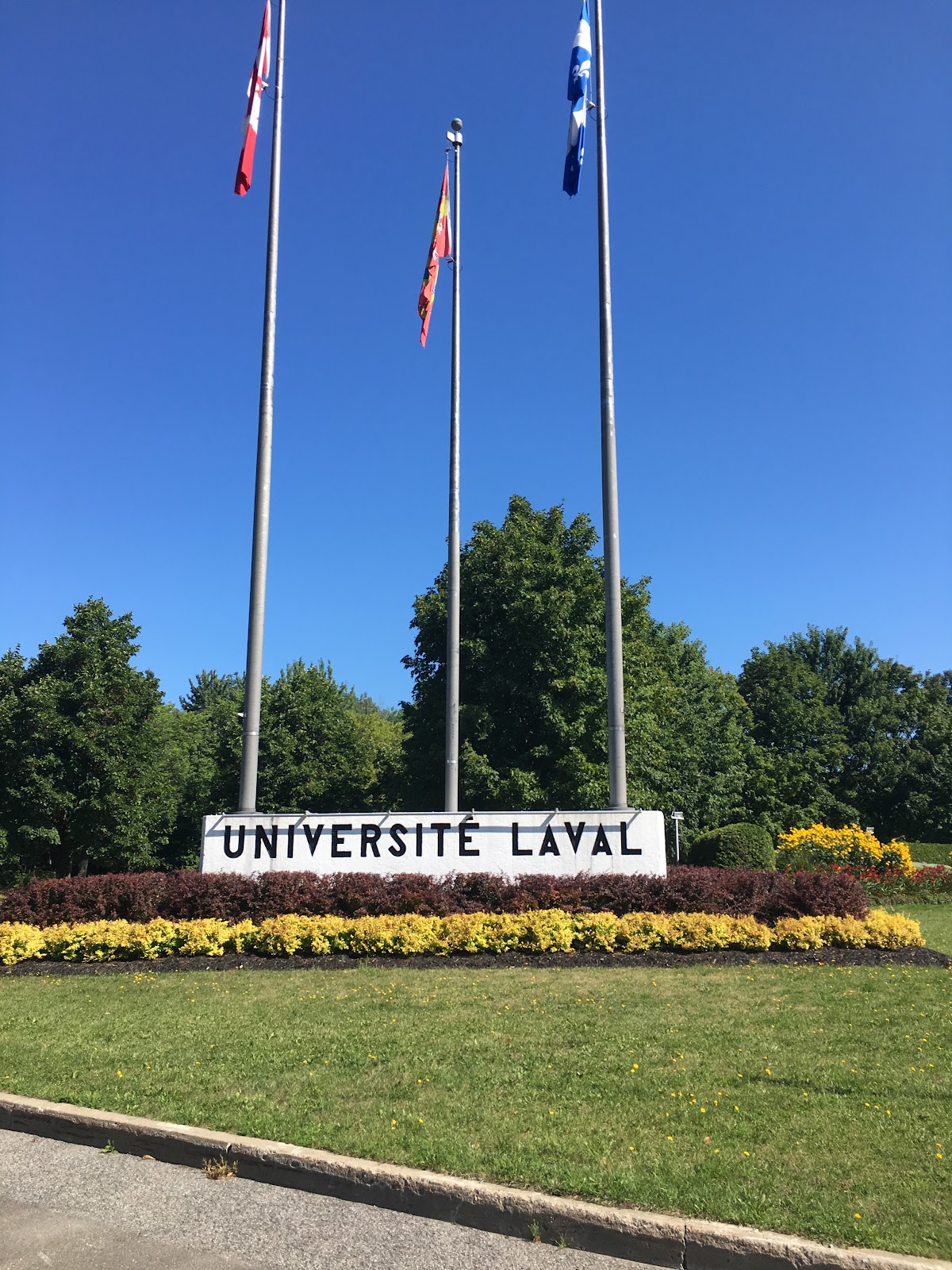 Université Laval photo 7