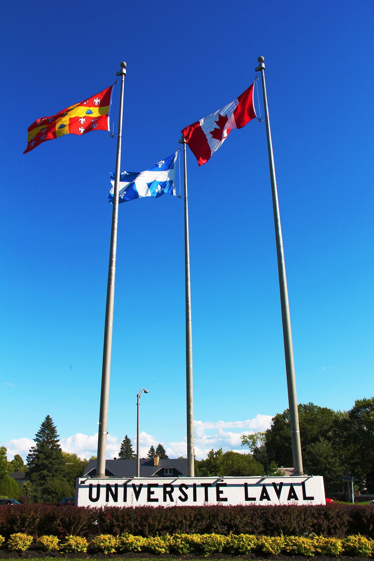 Université Laval photo 9