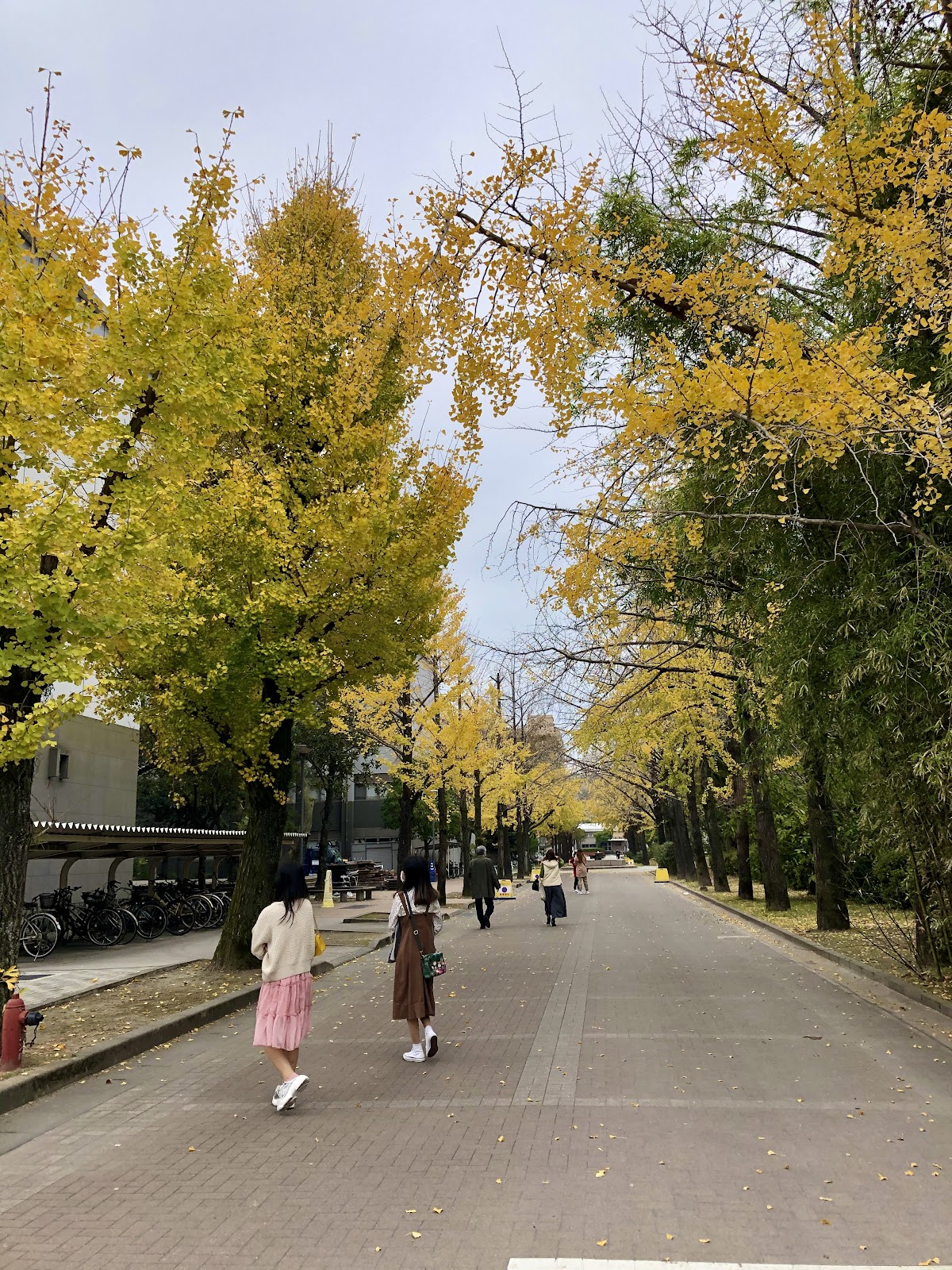 Kagoshima University photo 7