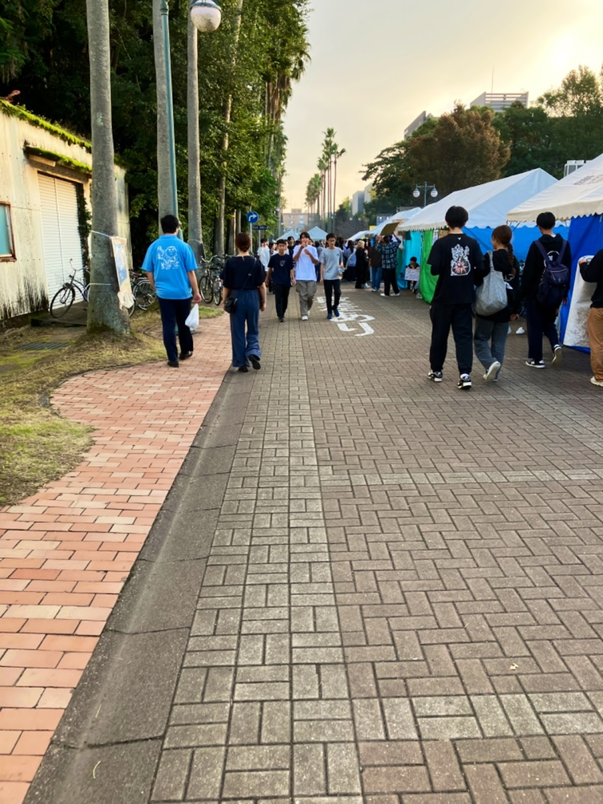 Kagoshima University photo 8