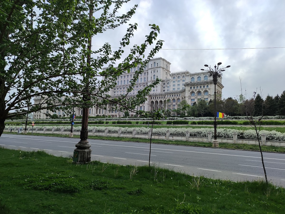 Romanian-American University photo 5