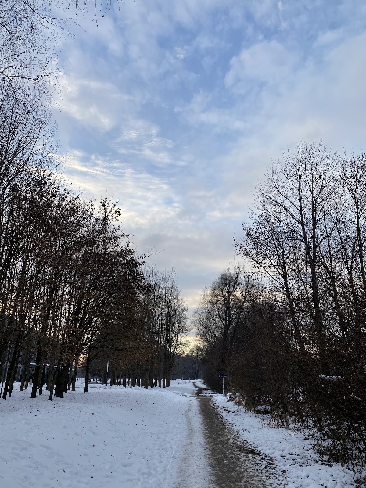 University of Klagenfurt photo 9