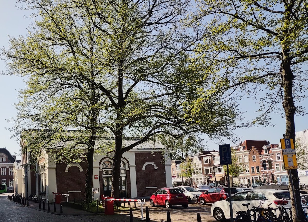 Webster University Leiden photo 2