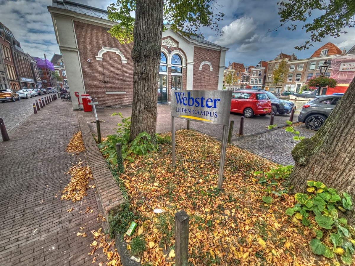 Webster University Leiden photo 4