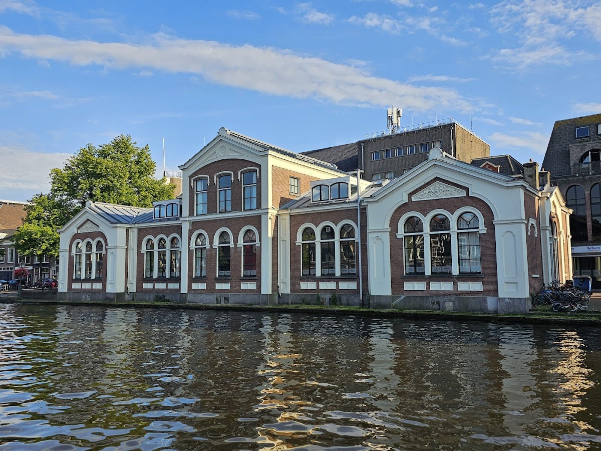 Webster University Leiden photo 6