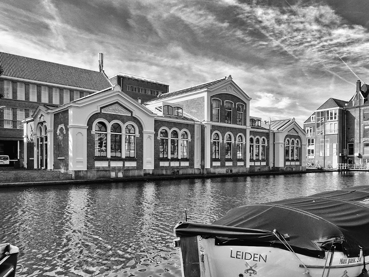 Webster University Leiden photo 7