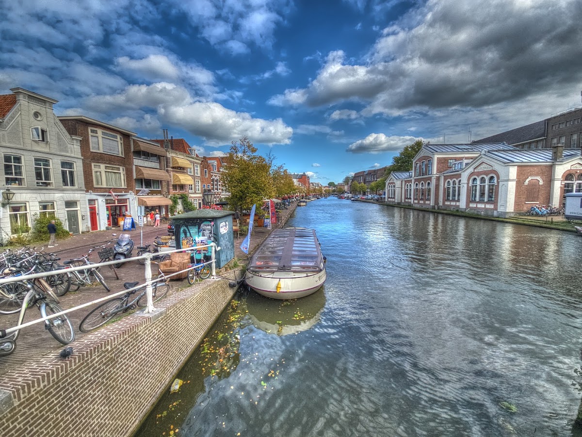 Webster University Leiden photo 8