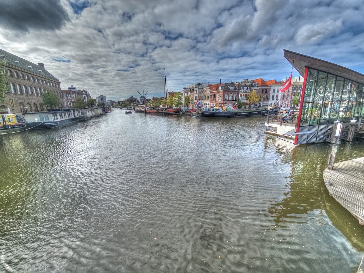 Webster University Leiden photo 9