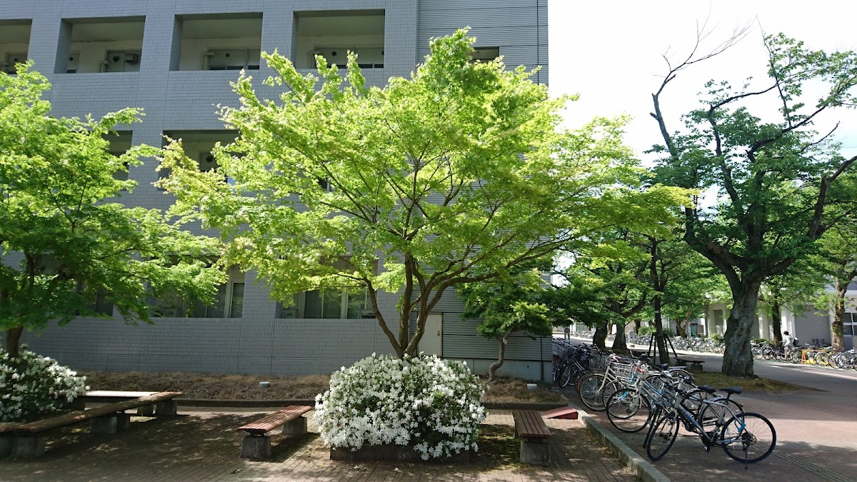 Toyama University photo 2