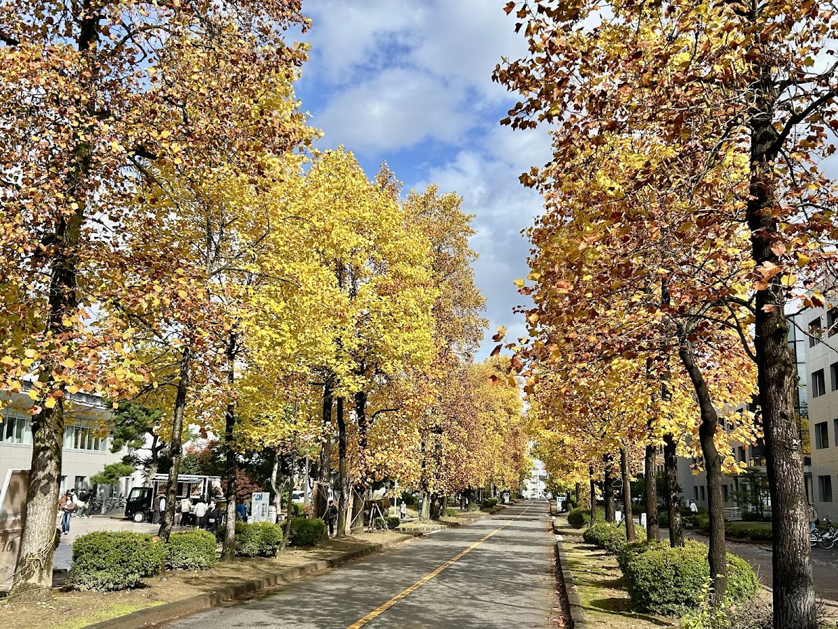 Toyama University photo 4