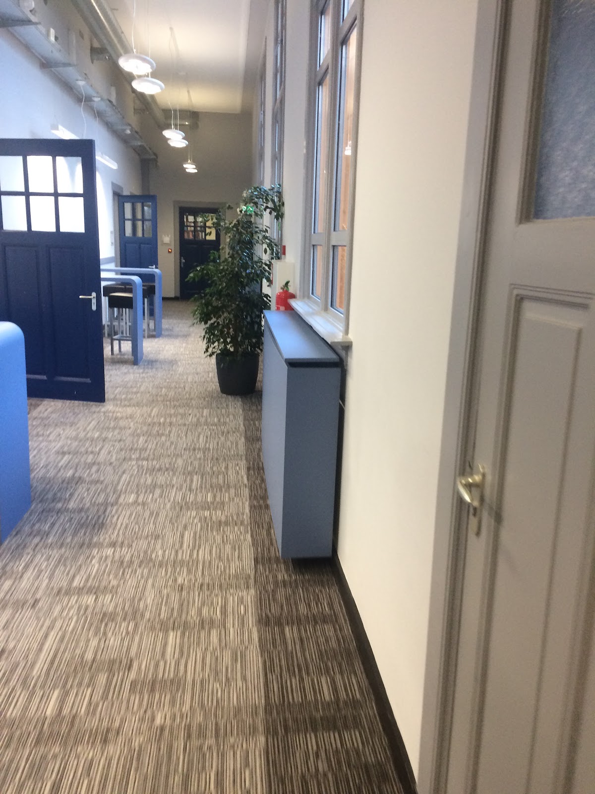 Wittenborg University of Applied Sciences photo 5