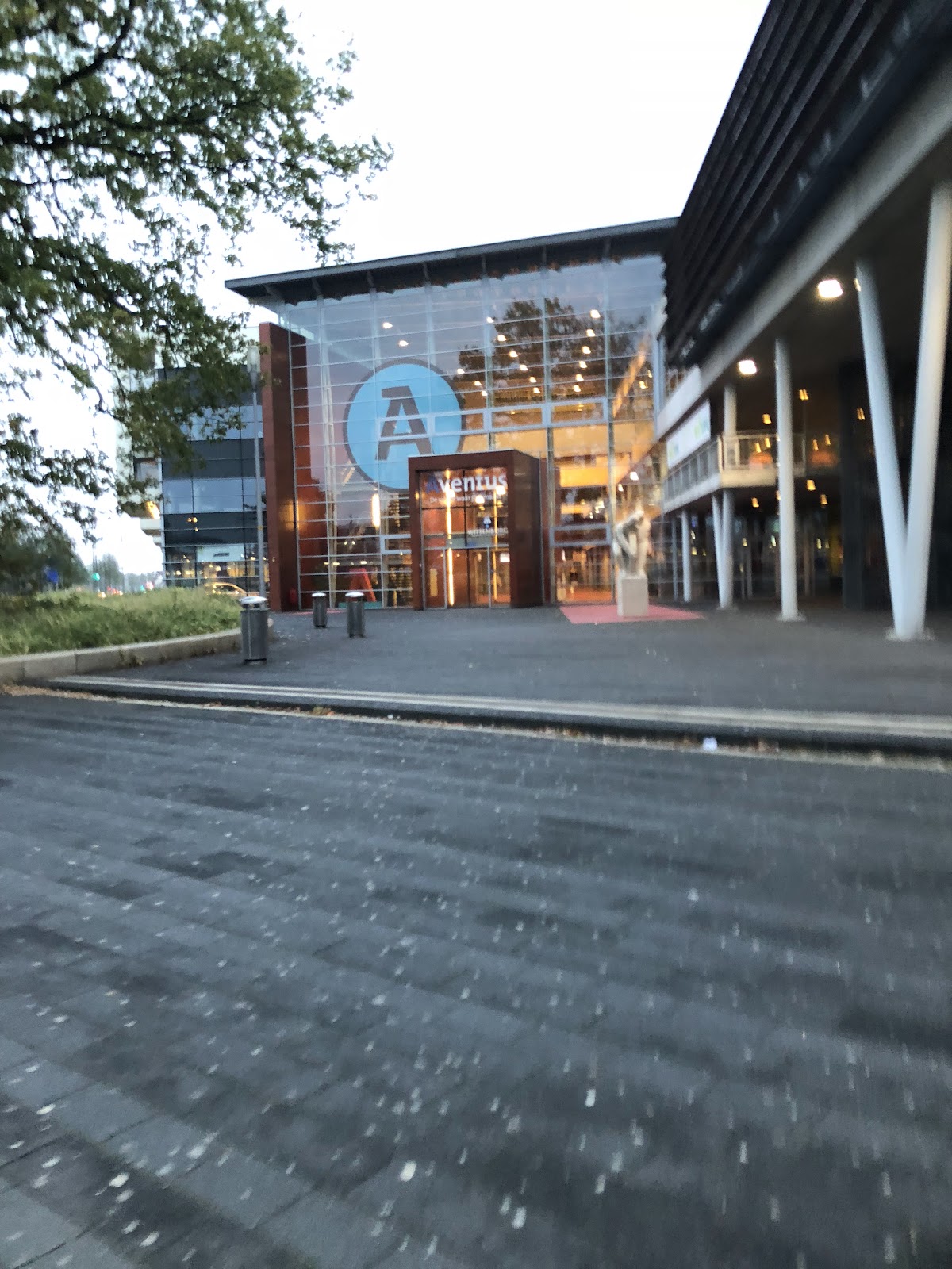 Wittenborg University of Applied Sciences photo 6