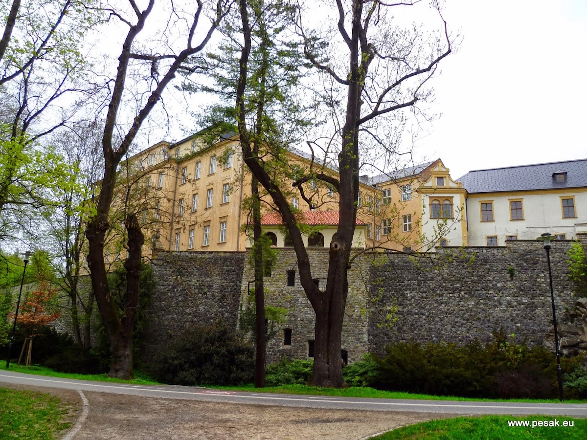 Palacký University Olomouc photo 5