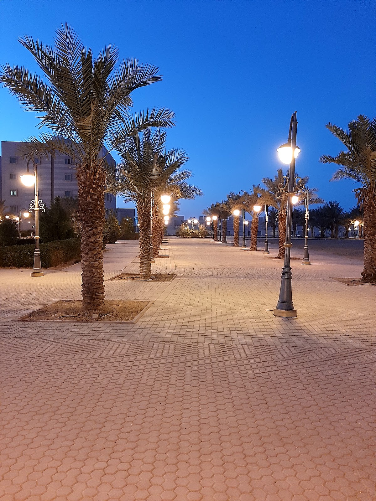 University of Tabuk photo 8