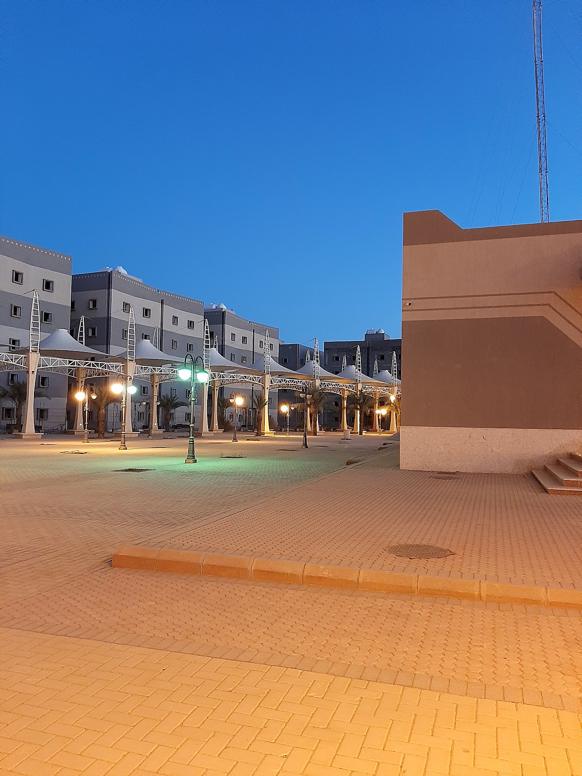 University of Tabuk photo 9