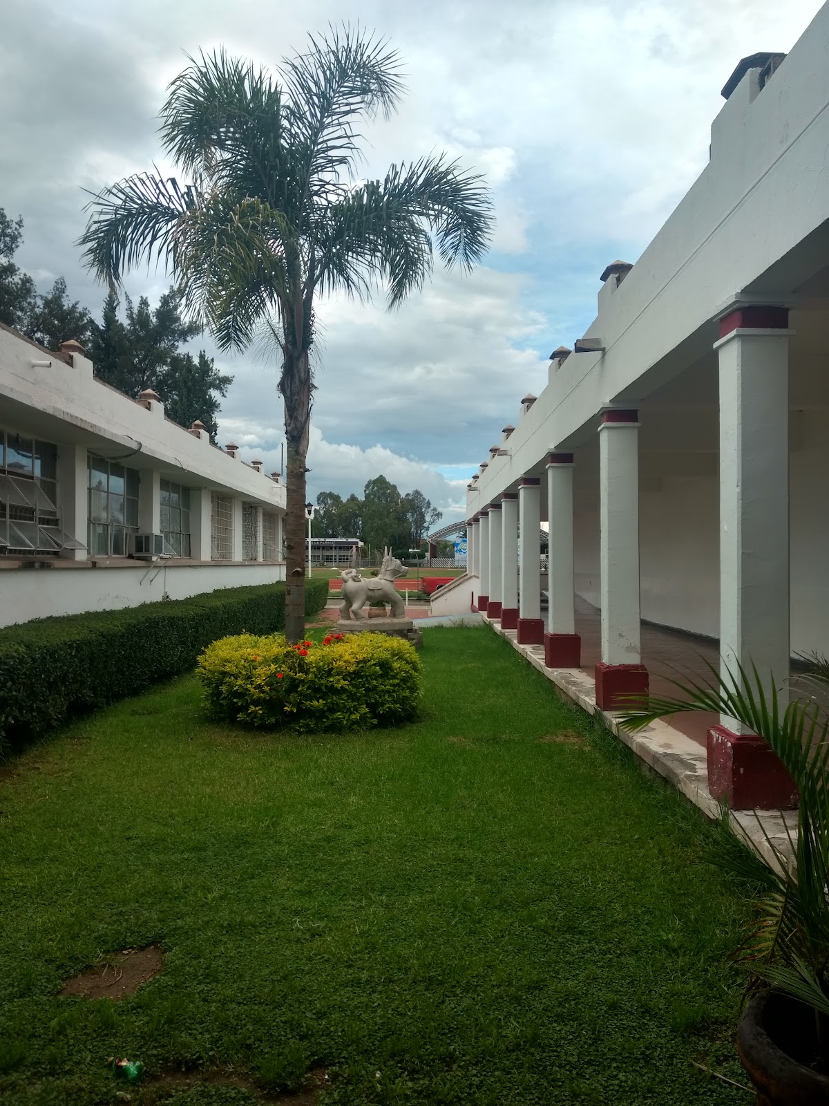 Technological Institute of Durango photo 5