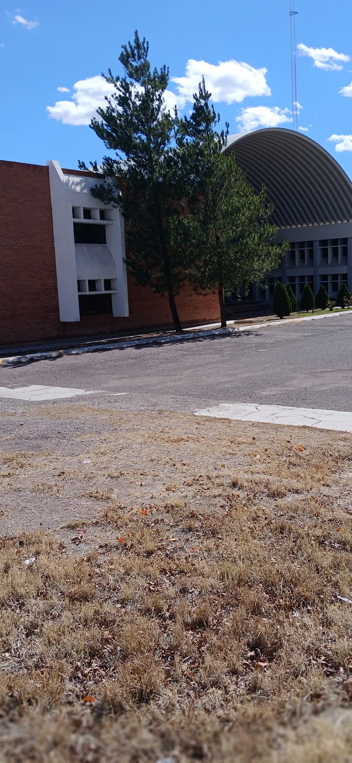Technological Institute of Durango photo 8