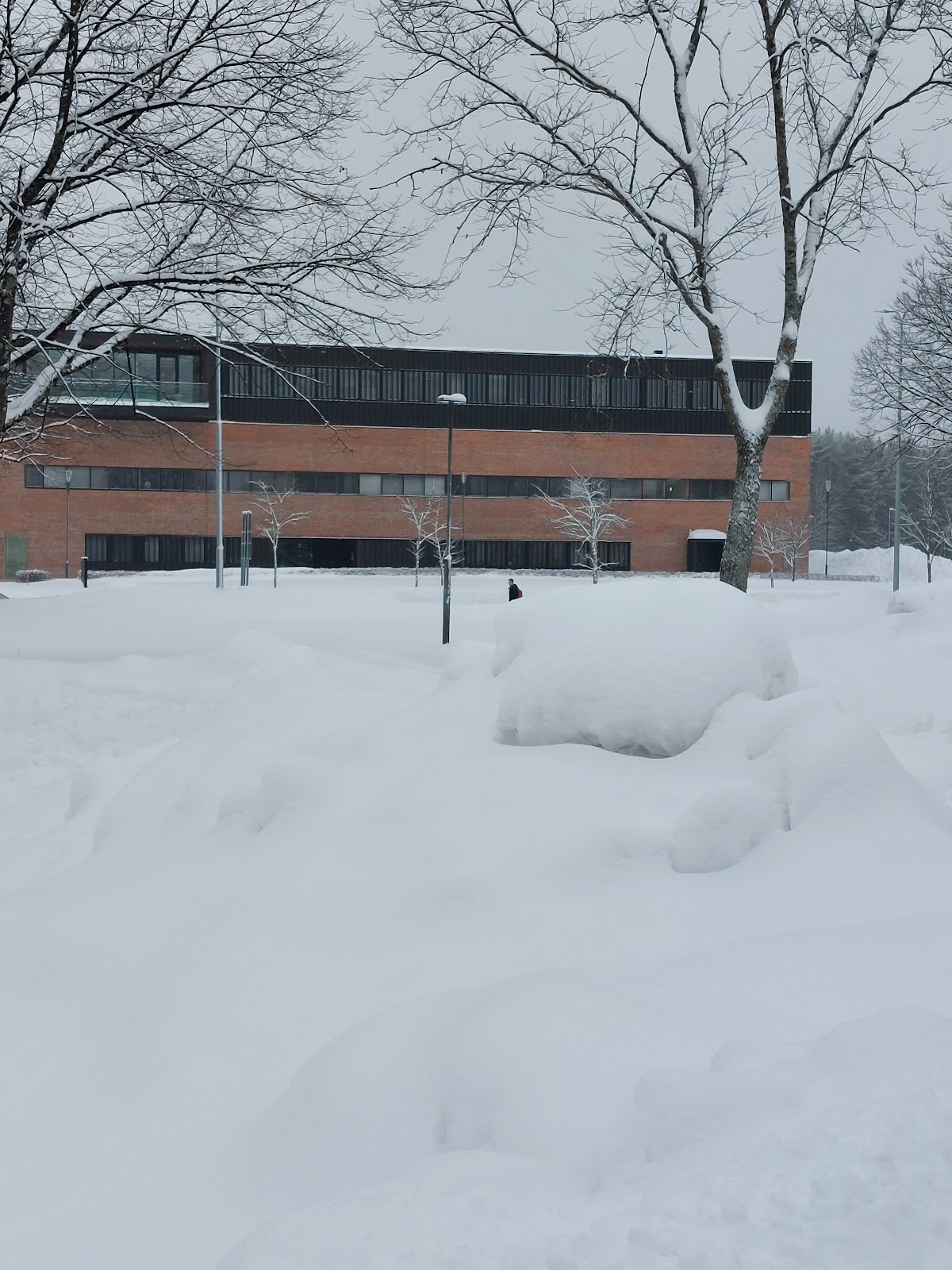 University of Eastern Finland photo 9