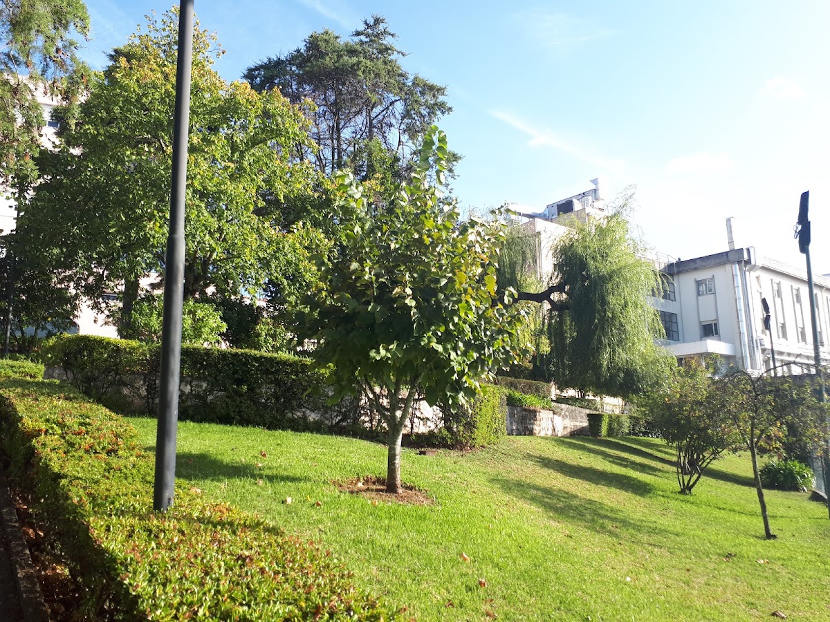 Escola Superior de Enfermagem de Coimbra photo 2