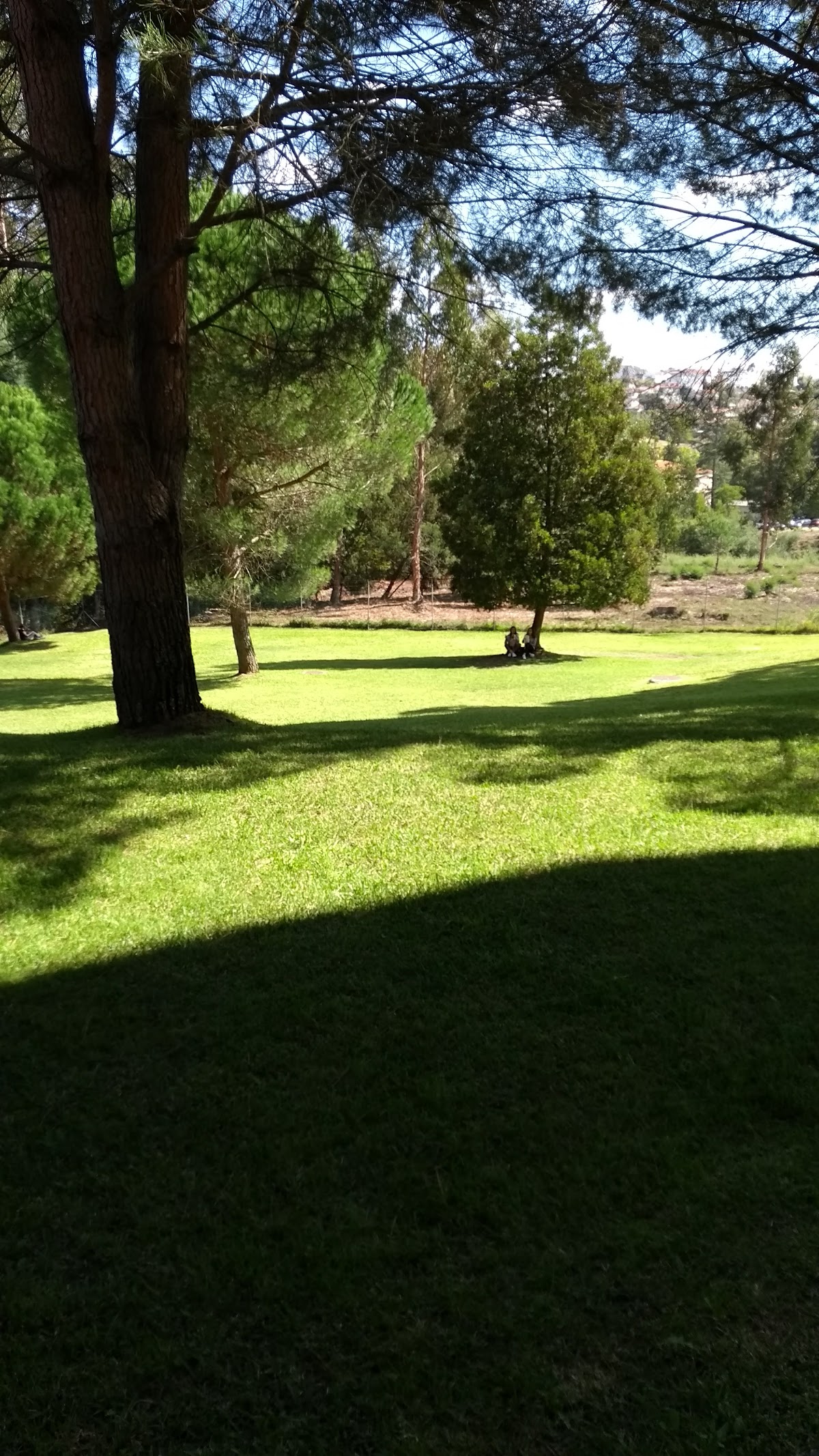 Escola Superior de Enfermagem de Coimbra photo 8