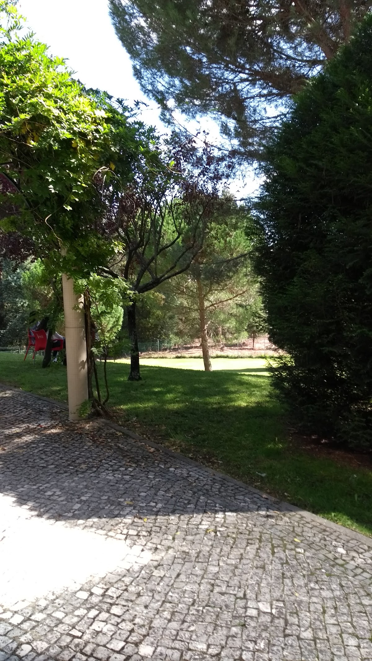 Escola Superior de Enfermagem de Coimbra photo 9