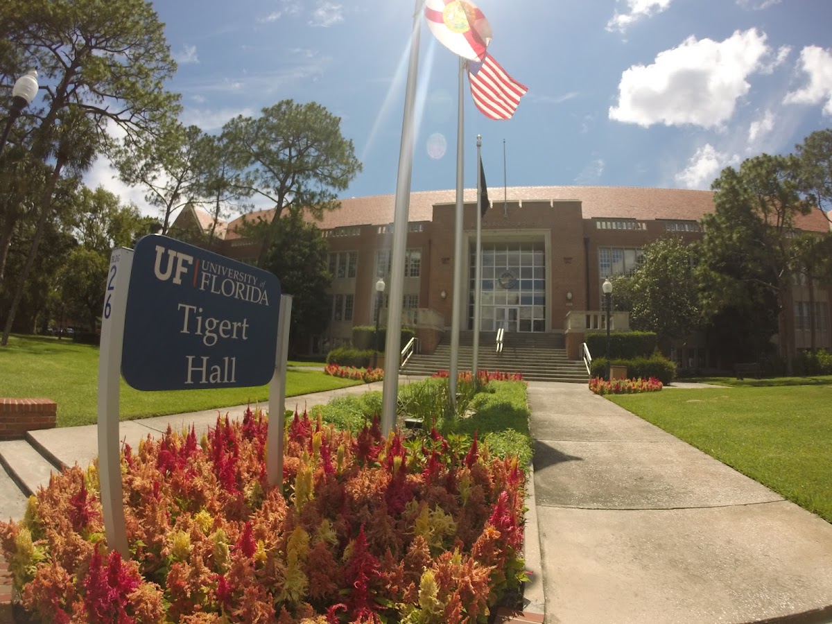 University of Florida photo 3