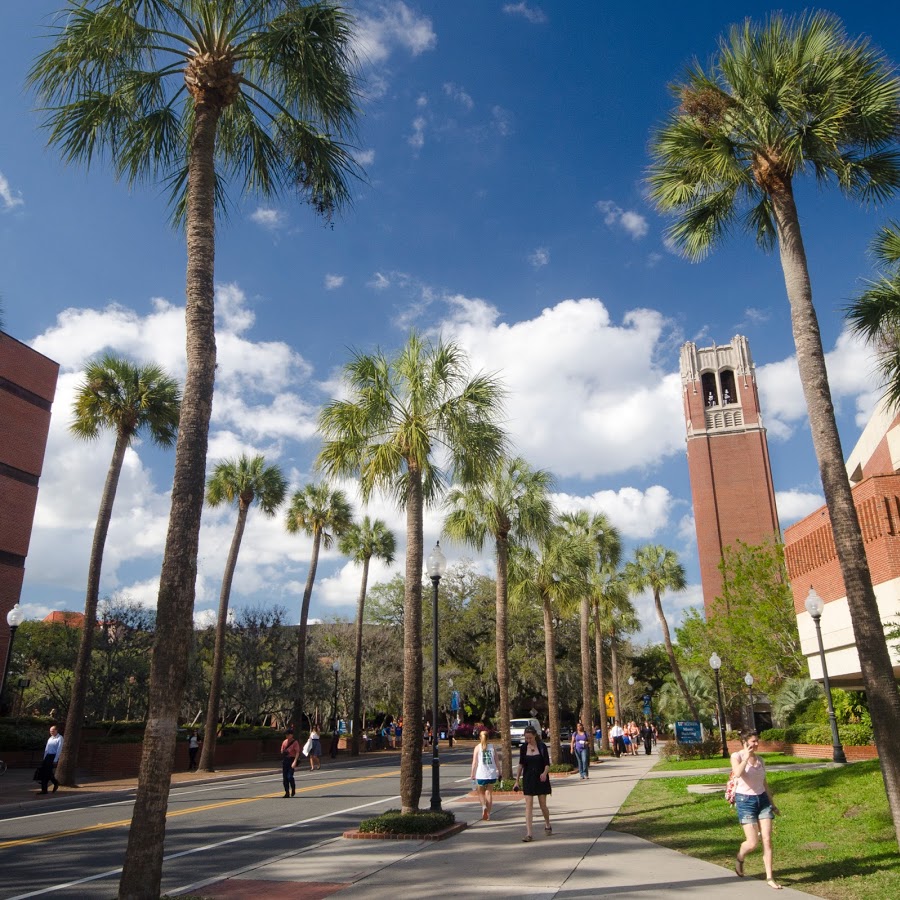 University of Florida photo 8