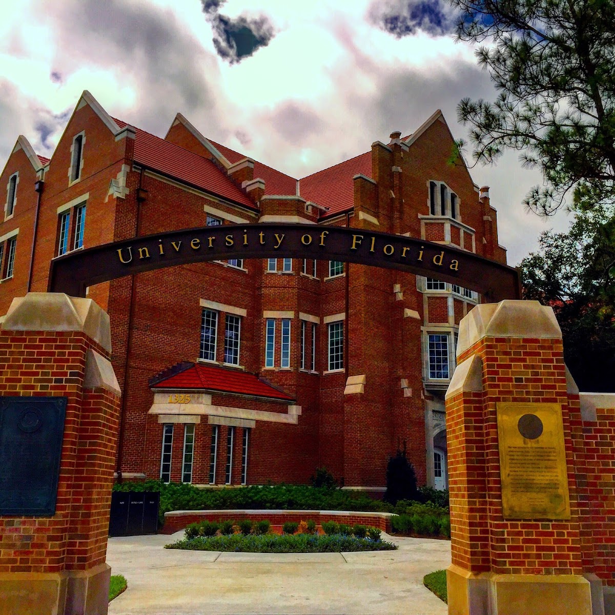 University of Florida photo 9