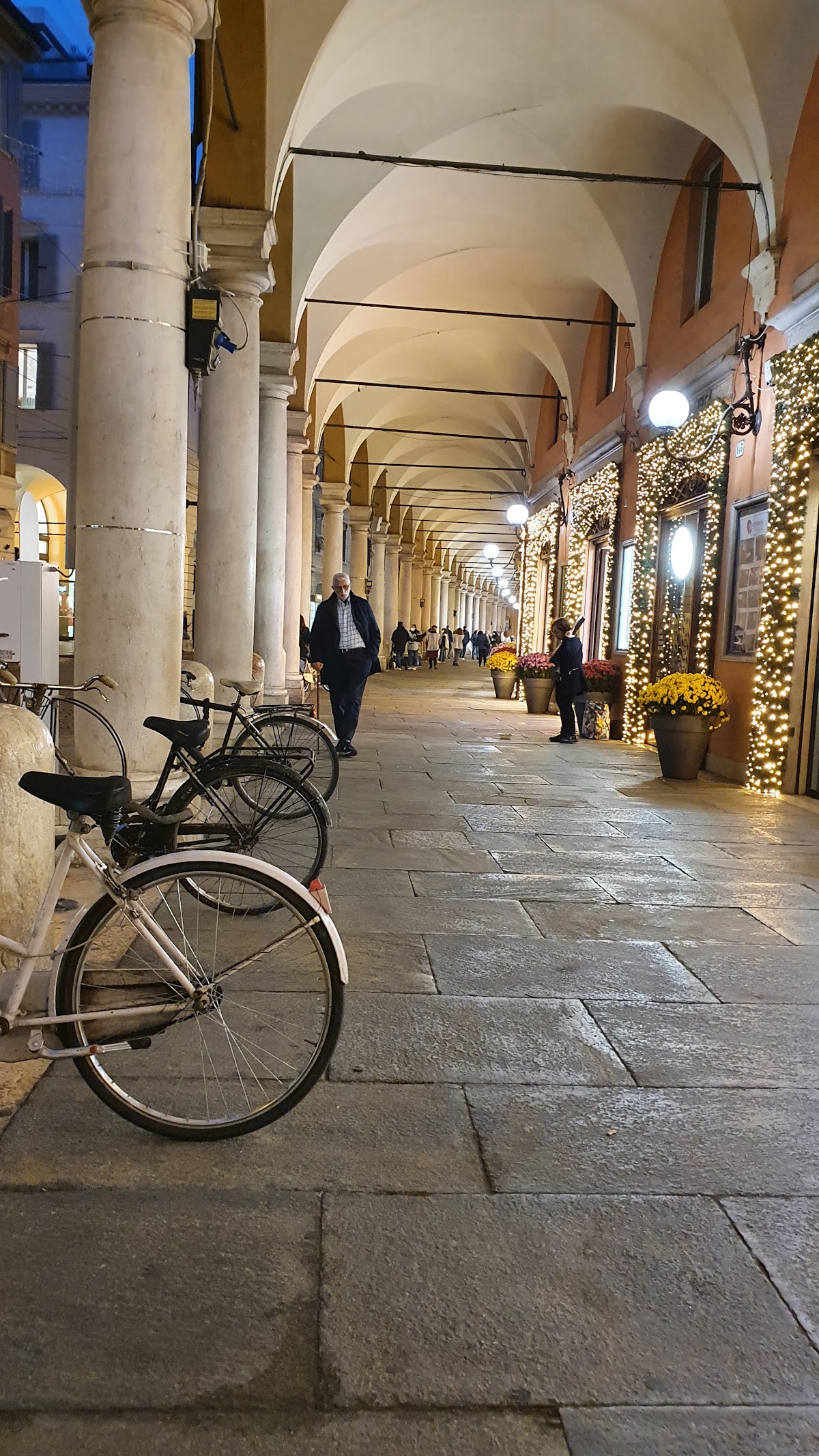 University of Modena and Reggio Emilia photo 9