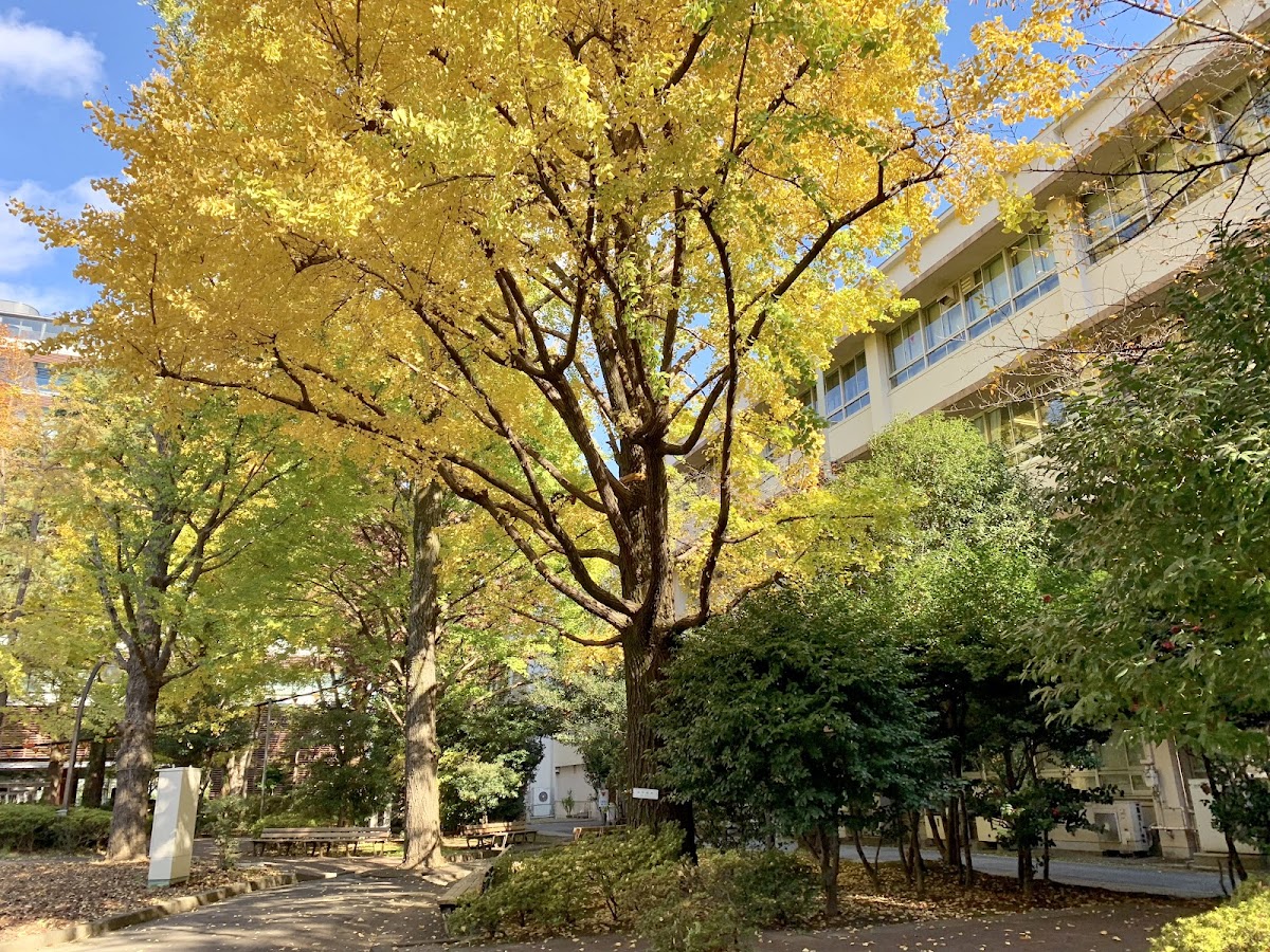 Tokyo University of Agriculture and Technology photo 5